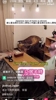 对外作秀？博主嘲讽日本球迷捡垃圾：要让日本被全世界夸奖！